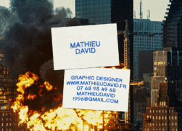  Mathieu David